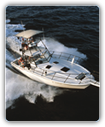 MaxSea Time Zero Explorer